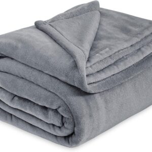 Bedsure GentleSoft Fleece Bed Blankets Queen Size Grey - Soft Lightweight Plush Fuzzy Cozy Luxury Fall Blanket Microfiber, Room Home Decor Gifts for Women and Men, 90x90 inches
